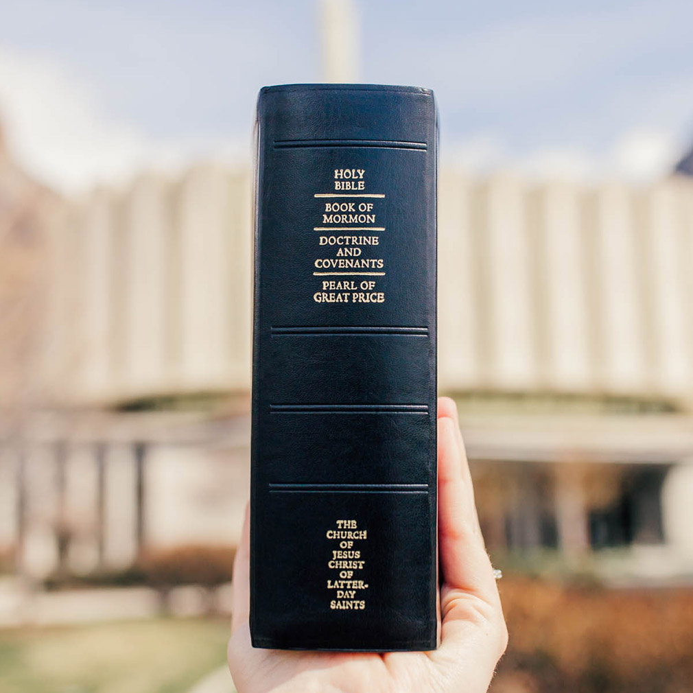 Simulated Leather Quad - LDS-QUADREG-SIM-2013-BLK