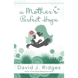 A Mothers Perfect Hope 
