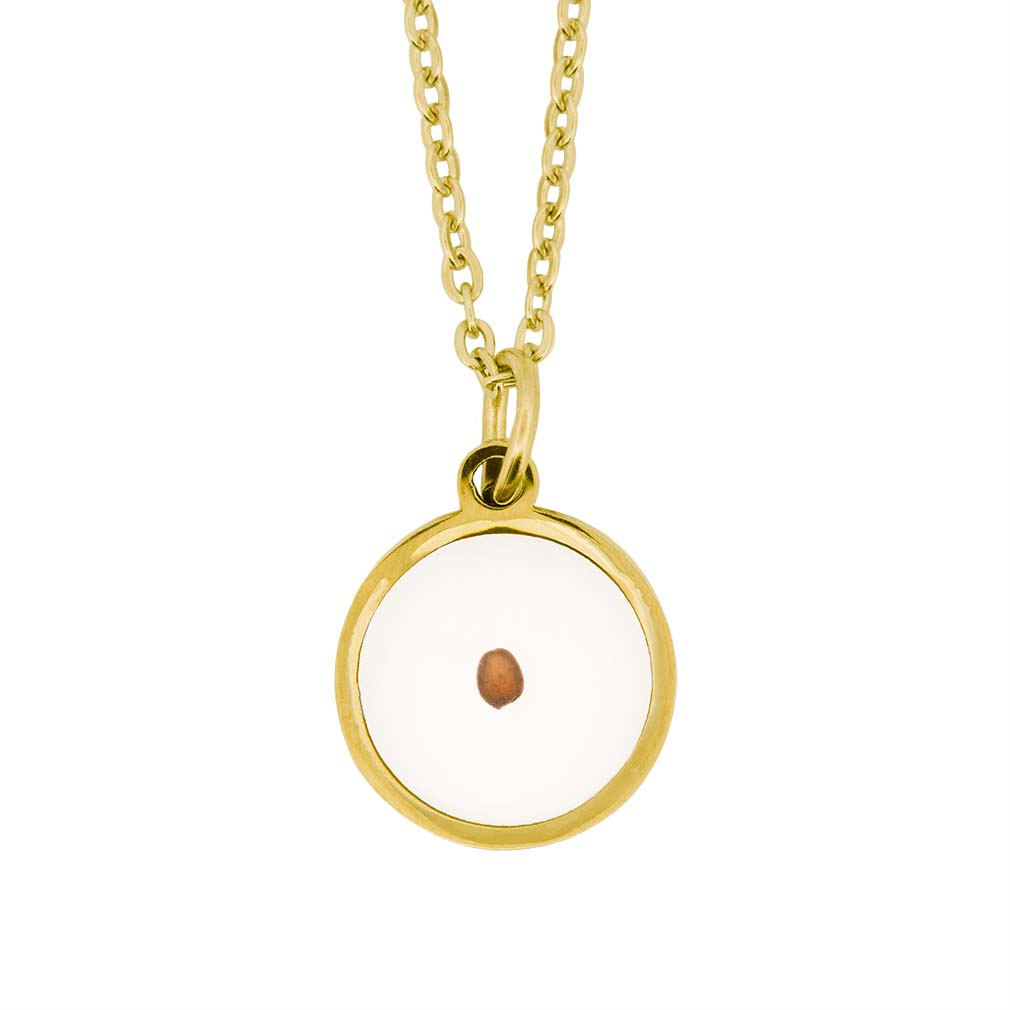 Circle Mustard Seed Necklace faith mustard seed, mustard seed, faith, faith can move mountains, mountains, jewelry for women, faith jewelry